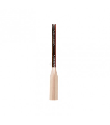 راکت پینگ پنگ دکتلون مدل PPR100 بسته دو عددی