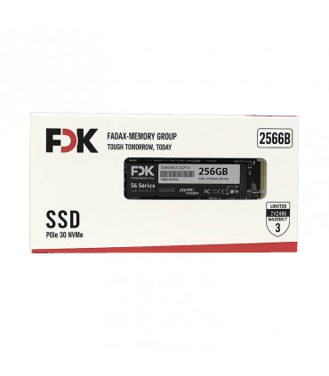 اس اس دی اینترنال فدک مدل B5 M.2 ظرفیت 256 گیگابایت